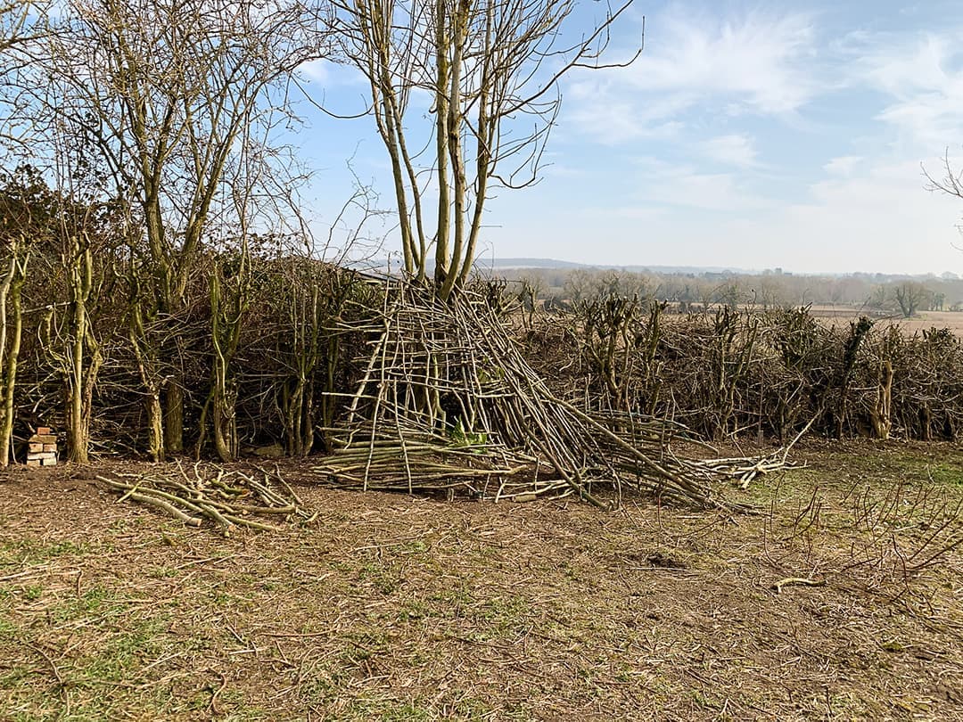 Dens and dead hedges in the orchard