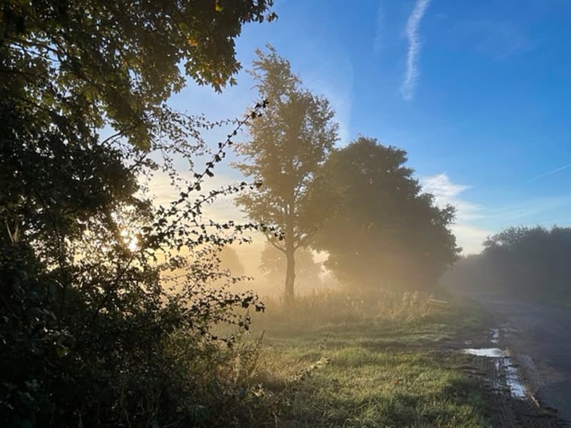 Everthorpe Calendar Sale